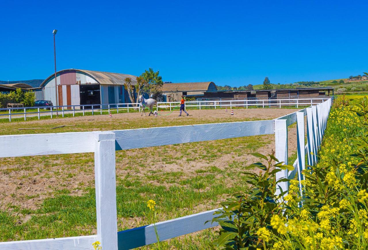 Hotel Glamping Gli Etruschi Piombino Exterior foto